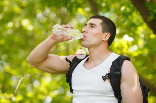 The Role of Hydration in Your Wellness Journey