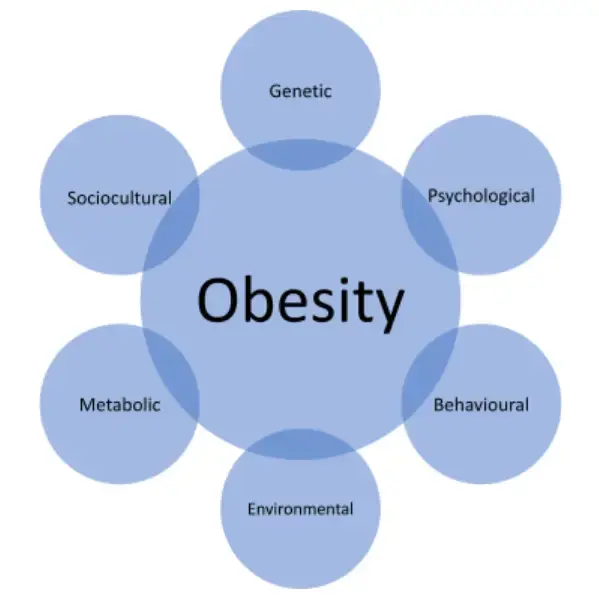 Obesity: Causes | Effects and Treatment Medicine